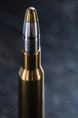 Large-caliber cartridge on a dark background 