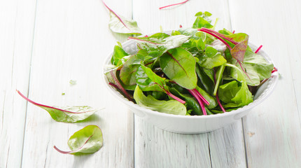 Mangold or Swiss chard