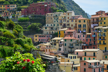 Obraz premium Italien / Cinque Terre / Manarola