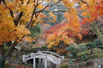 尾関山公園の紅葉