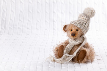 Teddy bear in winter clothes.