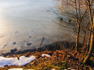 Winterliches Schwanenteichufer Zwickau