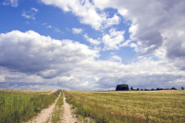 Rural landscape with bushes and clouds