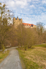 Fototapeta na wymiar Schloss Ballenstedt im Harz