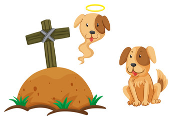 Dog sitting by the graveyard