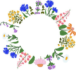 Vector card with herbs in a circle - Hypericum, Angustifolium,  chamomile, Campanula, cornflowers, Echinacea