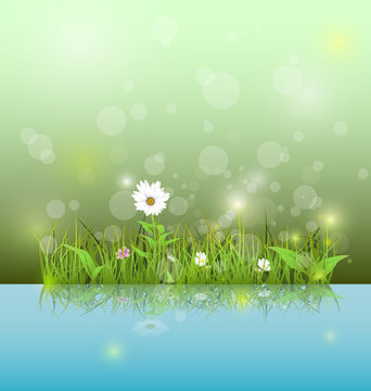 Vector illustration Green grass and leaves with white daisy, wildflower and shadow reflection on light blue water. Soft green color with bokeh background. Spring flower background 