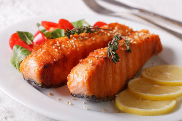 Grilled salmon fillet with sesame and lemon closeup on a plate. horizontal
