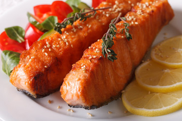 Grilled salmon fillet with sesame and salad on a plate macro. horizontal
