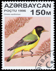 Stamp printed in Azerbaijan shows a bird Oriolus xanthornus