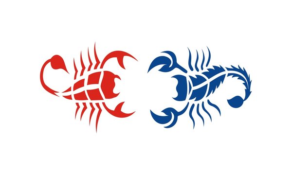  red and blue scorpions design