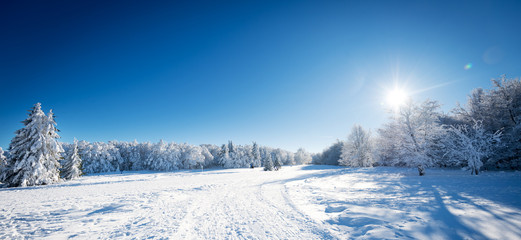 Obraz premium Paysage d'hiver panoramique