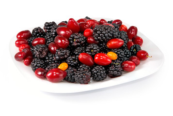 image of dogwood and blackberry on a plate