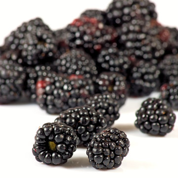 Isolated image of ripe blackberry