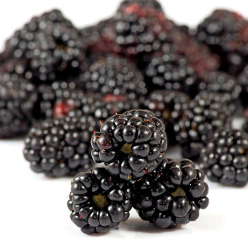 Isolated image of blackberry