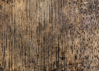 Fototapeta premium Grunge old wood texture or background, natural wood pattern.