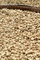 Coffee beans for backgrounds or textures