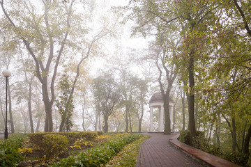 Fototapeta premium Gomel / Belarus - October 23, 2015: Morning. walk in the park Lu