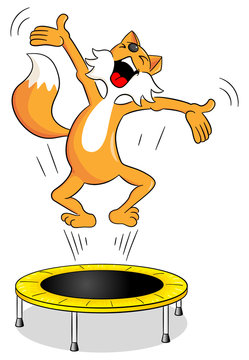 Fuchs auf einem Trampolin