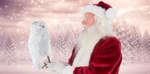 Obraz premium Composite image of father christmas holds an owl