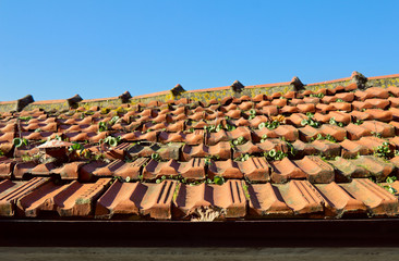 Red roof tile of old town