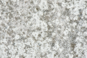 Concrete wall dirty with moldy, Grunge wall texture or background.