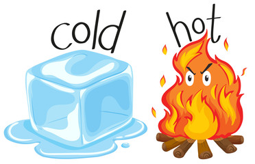Cold icecube and hot fire