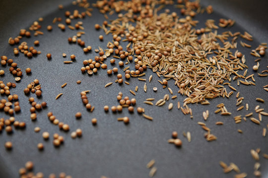 coriander and cumin seeds