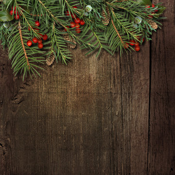 Christmas fir tree with holly on grunge wooden