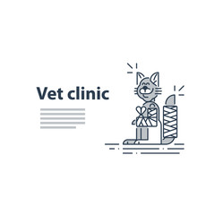 Vet clinic. Pet health insurance. A happy smiling cat with fractured paw and tail. Template for advertising.