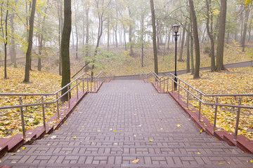 Gomel / Belarus - October 23, 2015: Morning. walk in the park Lu