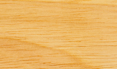 Wood texture or background, natural wood pattern ,close-up.