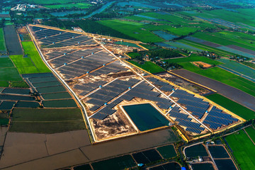 Solar Farm solar panels