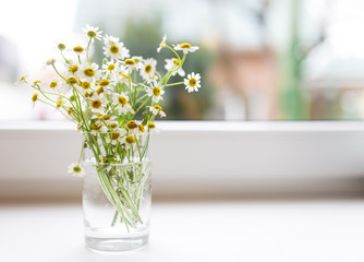 Bouquet of chamomiles flowers on the window sill