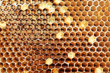 honey comb texture