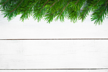 Winter christmas background with fir branches