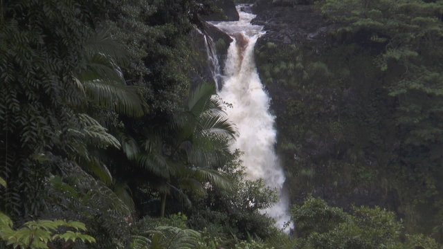 Alaka Falls on Big Island Hawaii at Alaka Falls State Park medium shot