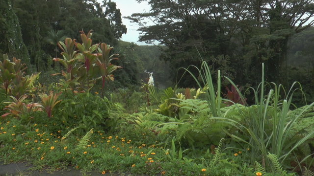 Alaka Falls State Park on Big Island Hawaii