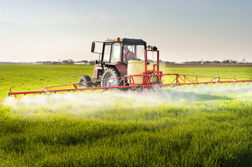 Tractor spraying wheat field - obrazy, fototapety, plakaty