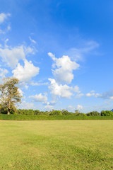 Obraz premium Lovely green garden