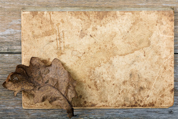 Still-life Dry oak sheet on an old writing-book