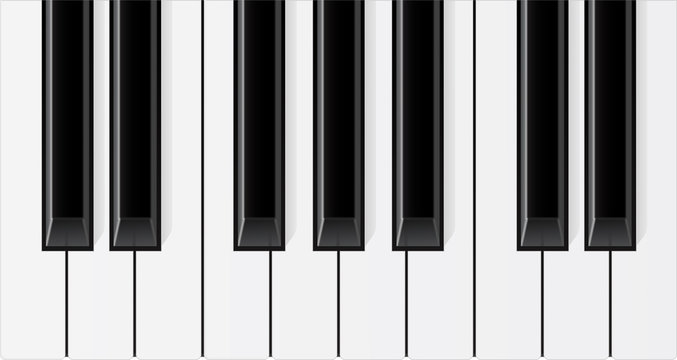 Piano keys . Vector piano keyboard .