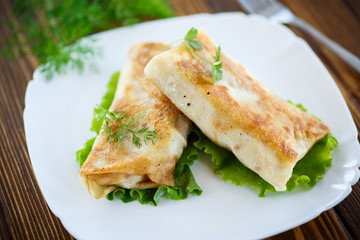 fried stuffed spring rolls on a plate