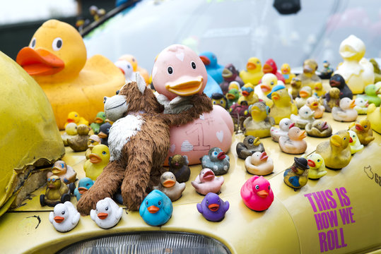 many rubber ducks on car