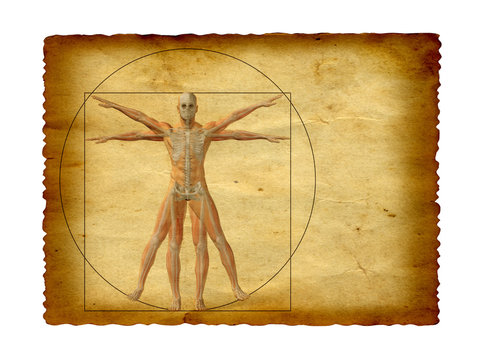 Conceptual vitruvian human body drawing on old paper background