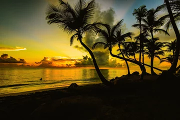Poster de jardin Mer / coucher de soleil coucher de soleil silhouette de palmiers