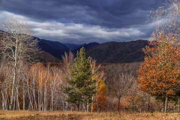 Colorful autumn landscape. Nature background