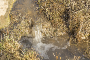 Spring water runs through grass