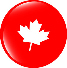 Obraz premium vector maple leaf icon glassy web button