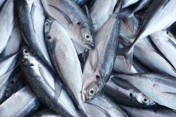 Obraz premium fresh fish as background.